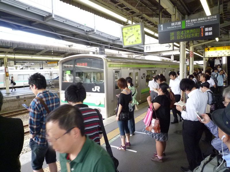JR横浜線と京王線が利用可。新宿・町田・八王子・横浜など多方面への通学に便利
