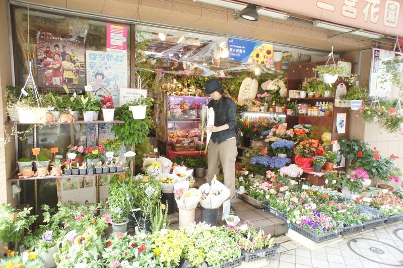 日吉駅には花屋が多く、色鮮やかな花々が店頭に並んでいます。