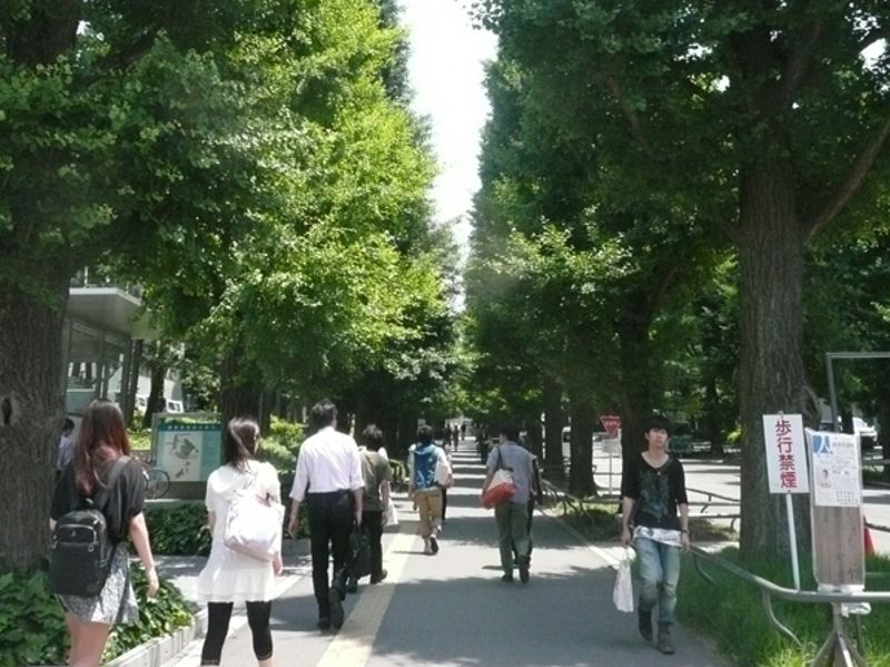 銀杏並木が広がる慶應義塾大学日吉キャンパスまでは、武蔵小杉乗換えで乗車16分