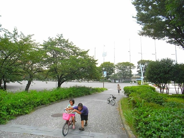 陸上競技場は、川崎フロンターレのホームグラウンドになっている。