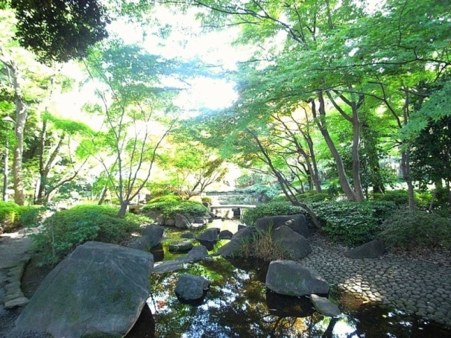 杉並区立の公園では初めての回遊式日本庭園・大田黒公園は憩いの空間。