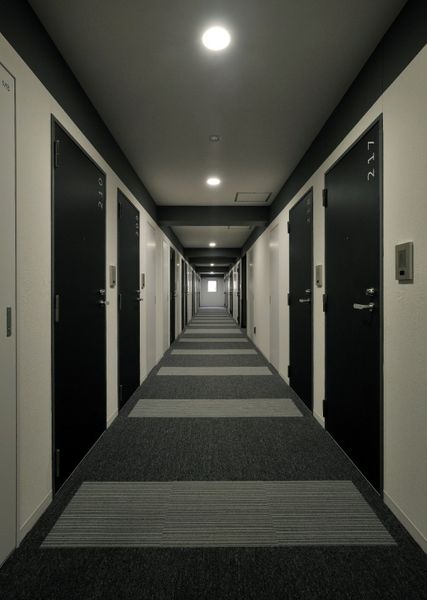 共用廊下　内廊下なので雨の日も安心、絨毯敷きで重厚感がある廊下です。